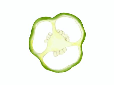 ピーマンの輪切り（水彩）② ピーマン,輪切り,水彩,手書き,手描き,ベクター,野菜,緑,薄切り,種のイラスト素材