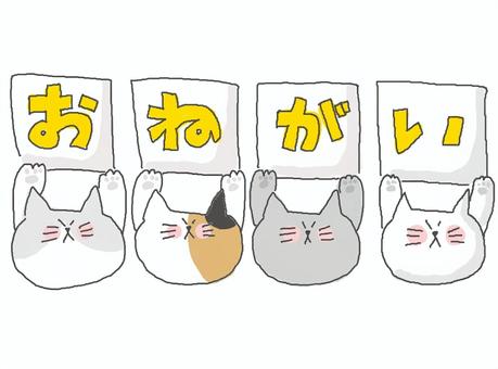 ねこちゃんのお願い♪ かわいい,お願い,甘える,頼む,ねこ,どうぶつ,いきもの,ペット,三毛猫,メッセージのイラスト素材