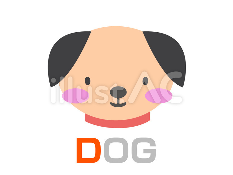 英単語カード D DOG 英単語,学習,アルファベットのイラスト素材