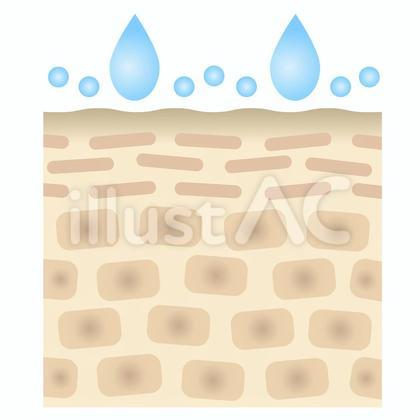 浸透力の低い肌 断面図