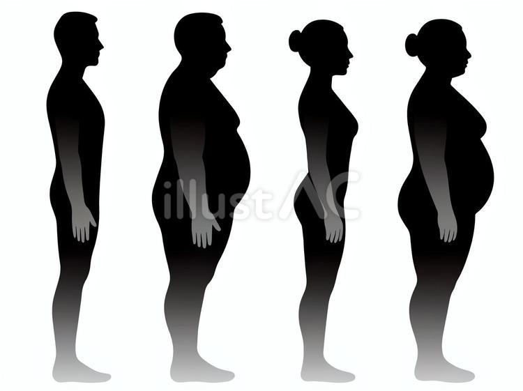 男女の理想体型vs肥満体型の比較図Ｃ 男,男性,女のイラスト素材