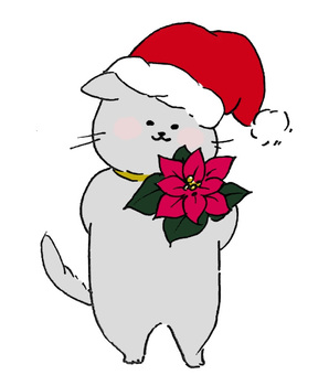 Cat _ Christmas _ poinsettia, , JPG and PNG