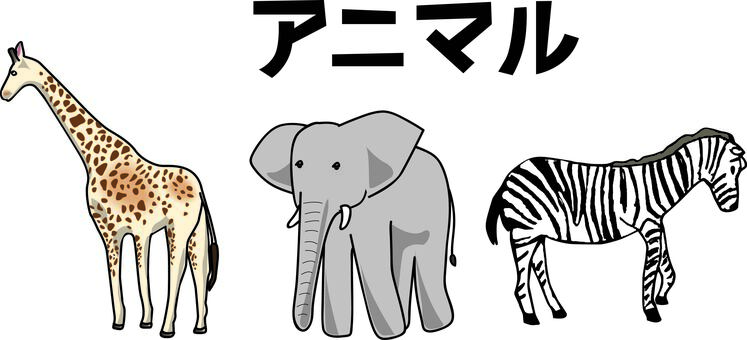 動物園アニマル 動物,キリン,ゾウ,シマウ,動物園,サファリ,並ぶ,カタカナのイラスト素材
