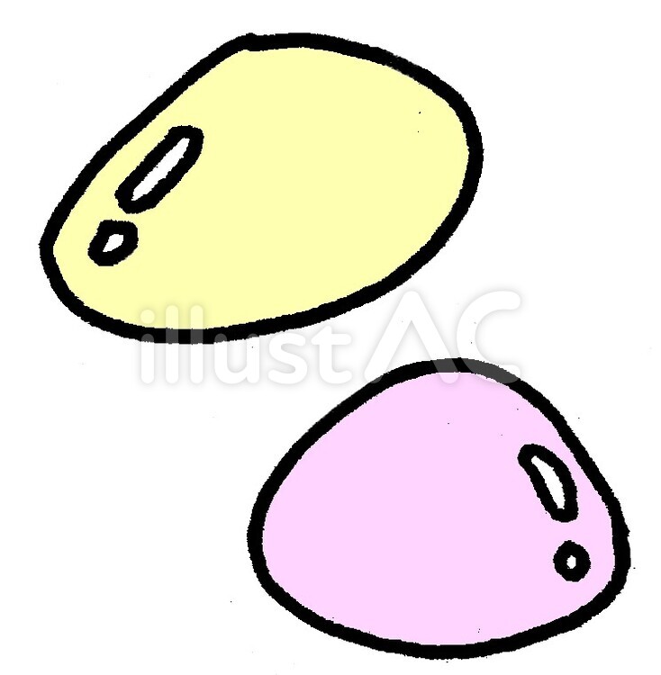 貝殻 貝殻,貝,シェルのイラスト素材
