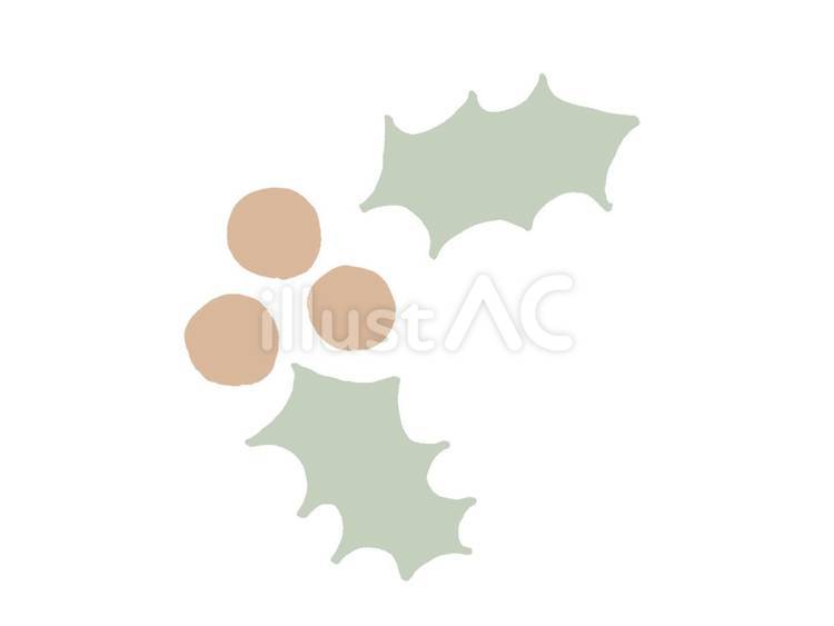 ヒイラギ(くすみカラー線画なし) ヒイラギ,クリスマス,植物のイラスト素材