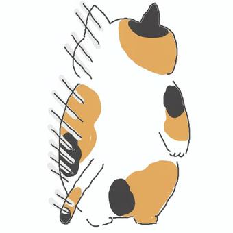 呆然とする三毛猫ちゃん 三毛猫,かわいい,呆然,愕然,ショック,暗い,立ち尽くす,ねこ,動物,いきもののイラスト素材