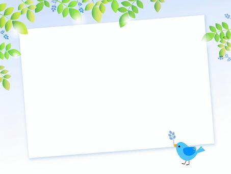 Fresh green and small bird board 3-1, frame, young leaves, message card, JPG and PNG