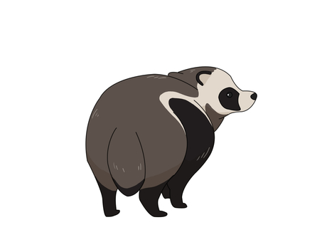 タヌキ（振り向く） タヌキ,動物,日本,夜行性,振り向く,後ろ姿のイラスト素材