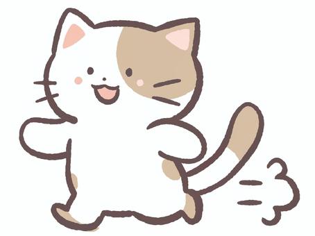 走る可愛い動物の猫 猫,走る,競走,動物,生き物,運動,ダッシュ,哺乳類,かわいい,ペットショップのイラスト素材