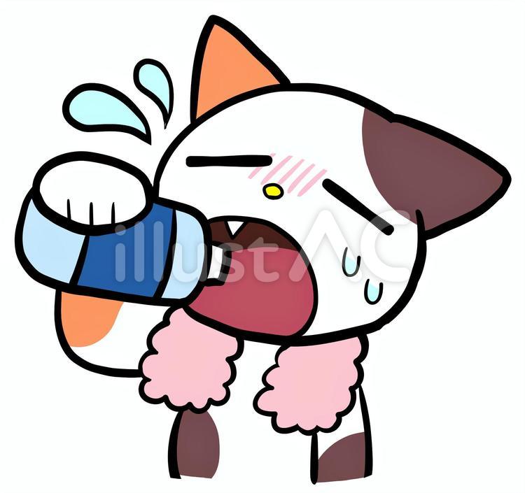 水分補給する猫ちゃん 猫,三毛猫,動物のイラスト素材