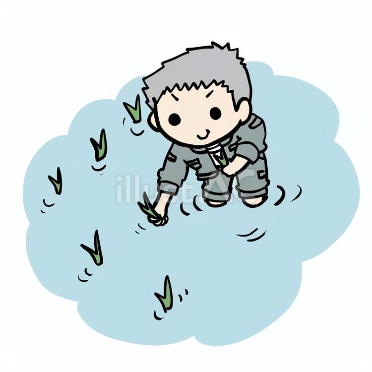 楽しく田植えするおじいさん おじいさん,田植え,田んぼのイラスト素材