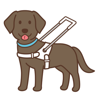 盲導犬2 犬,盲導犬,介助犬,ラブラドールレトリバー,ペット,かわいい,大型犬,犬種,ワンポイント,ポップのイラスト素材