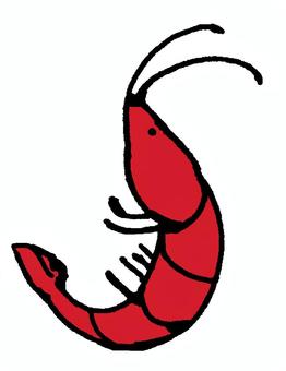 エビ 海老,魚介類,海,シーフード,赤,生き物,水中,海洋生物,水族館,海洋のイラスト素材