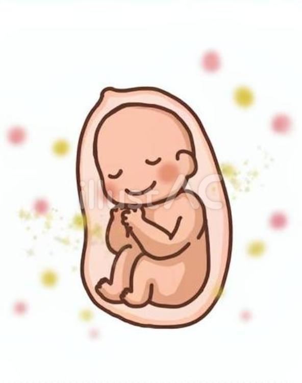 お腹の中の赤ちゃん 赤ちゃん,胎児,妊娠のイラスト素材