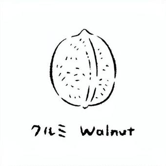 手描きのくるみ2_名称入_白黒 くるみ,胡桃,果実,野菜,アイコン,食べ物,シンプル,食材,健康,イラストのイラスト素材