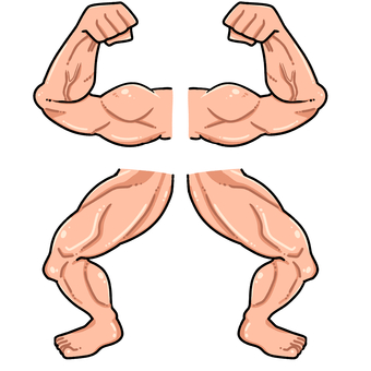 力こぶ 力こぶ,筋肉,腕,強さ,力,パワー,上腕,たくましいのイラスト素材