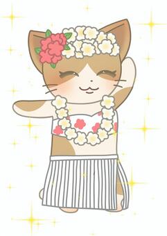 フラガール フラダンス,ハワイ,猫,レイ,アロハのイラスト素材