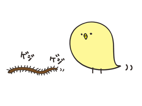 虫を見つめるひよこ