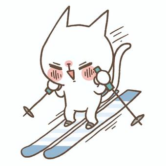 スキー スキー 猫,ねこ,白猫のイラスト素材