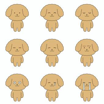 Illustration, dog, poodle, brown, 