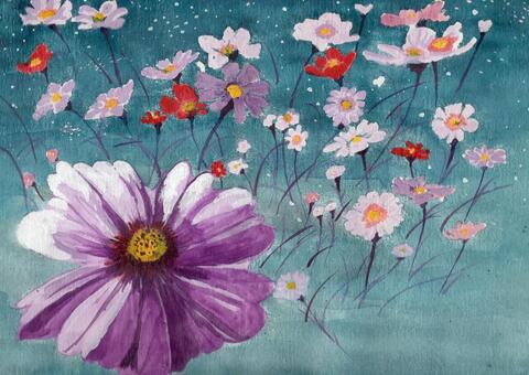 Illustration, cosmos, space, autumn cherry blossoms, JPG