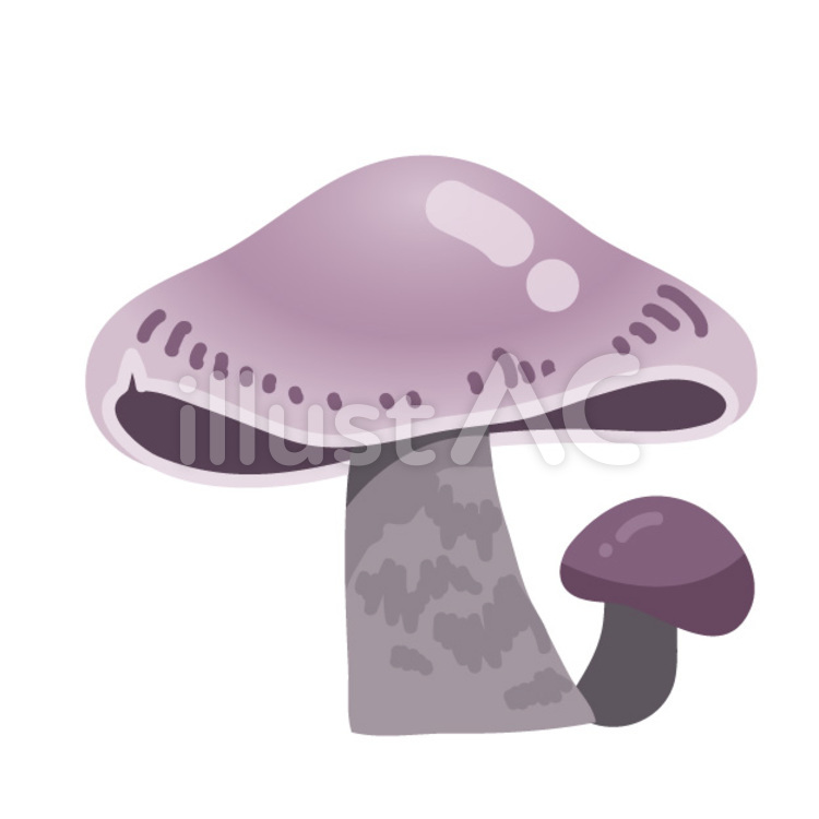 きのこ キノコ,毒きのこ,パープルのイラスト素材