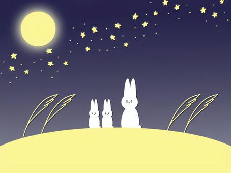 月うさぎ 中秋の名月,十五夜,うさぎ,満月,お月見,星,夜空,ススキ,秋,親子のイラスト素材