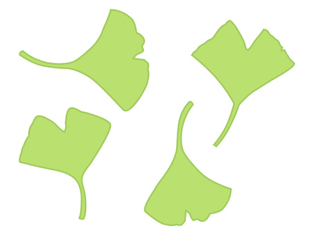 Ginkgo leaves (yellow-green) set, JPG, PNG and AI Ginkgo leaves (yellow-green) set, , JPG, PNG and AI