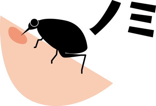 ノミ血吸う ノミ,血,吸う,昆虫,小さい,害虫,カタカナ,デフォルメのイラスト素材