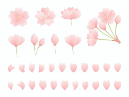 桜の花のイラスト素材セット、水彩カラー 桜の花のイラスト素材セット、水彩カラー 桜,さくら,水彩,桜の花,春,花,花びら,入学,入学式,新生活のイラスト素材
