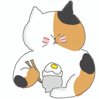 卵かけご飯 かわいい,たまご,卵かけご飯,食事,ごはん,白米,米,お米,たべもの,いただきますのイラスト素材