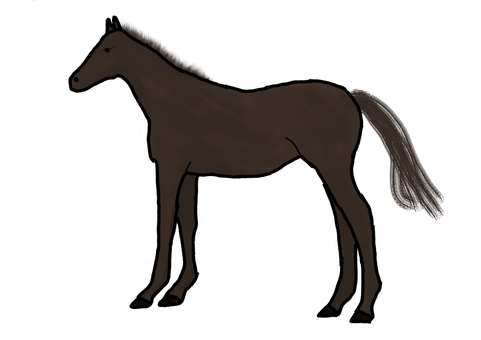 ウマ ウマ,競馬,競走馬,動物,生き物,手描きのイラスト素材