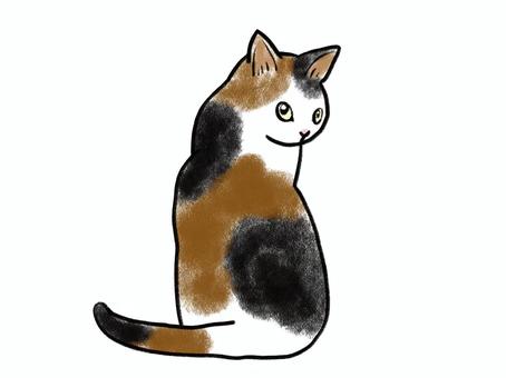 Illustration, cat, a pet, animal, 