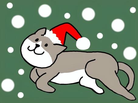 猫とクリスマス帽子と雪 猫,クリスマス,帽子,サンタ帽,雪,降る,ホワイトクリスマス,ペット,動物,かわいいのイラスト素材