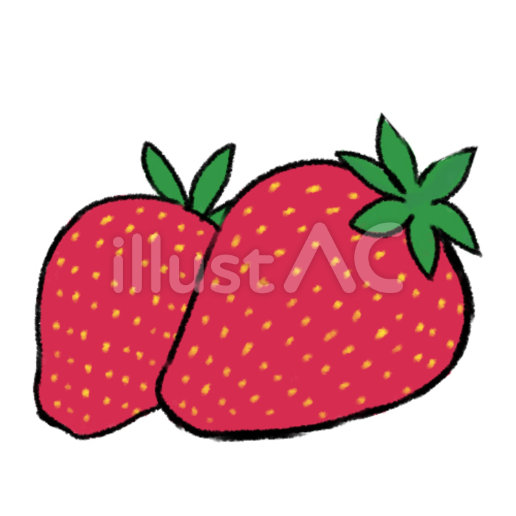 いちご いちご,くだもの,果物のイラスト素材