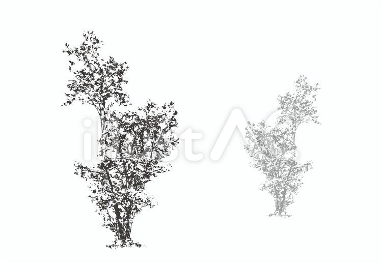 樹木のシルエット_4_植栽の添景 シルエット,葉,葉っぱのイラスト素材