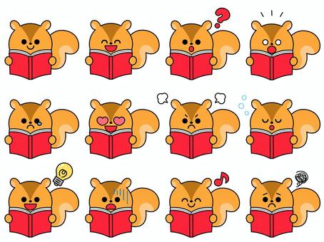 読書をするリスセット 読書,本,かわいい,動物,リス,アイコン,セット,表情,喜怒哀楽,笑顔のイラスト素材