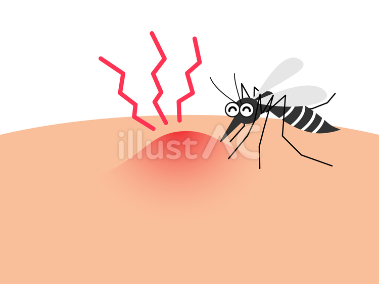 血を吸っているかわいい蚊のイラスト 蚊,かわいい,かゆいのイラスト素材