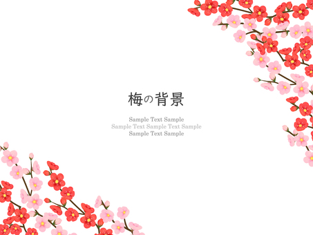 梅の花のフレーム、背景05 梅,花,水彩,梅花,フレーム,背景,手描き,梅の花,和,和風のイラスト素材