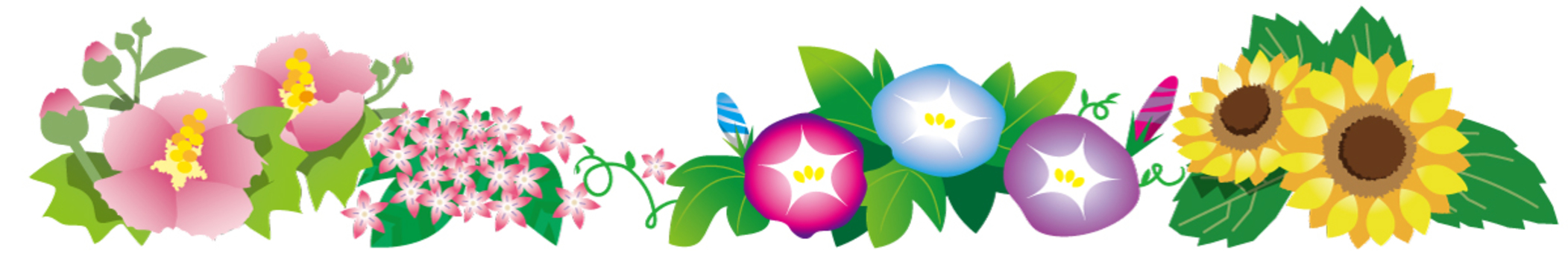 並んだ夏の花 アサガオ,ひまわり,ペンタス,タチアオイ,花壇,ガーデニング,園芸店のイラスト素材