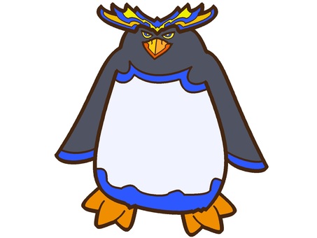 Illustration, macaroni penguin, bird, animal, 