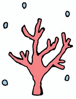 サンゴと泡 サンゴ,植物,水草,草,海,鑑賞,泡,酸素,自然,環境保全のイラスト素材