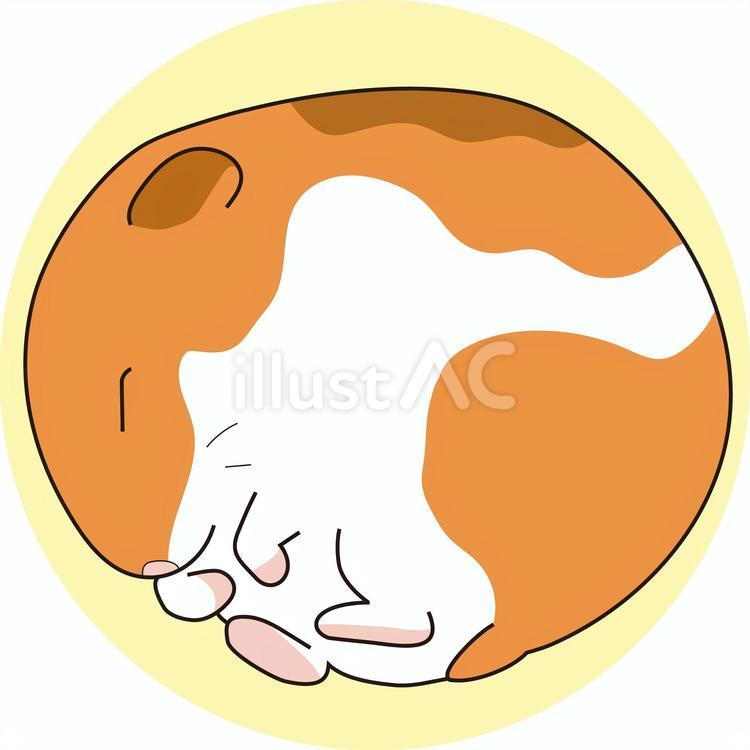 おねむりハムスター色付き ハムスター,ゴールデンハムスター,かわいいのイラスト素材