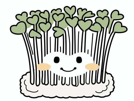 bean sprouts, JPG, PNG and AI bean sprouts, bean sprouts, vegetables, cultivation, JPG, PNG and AI