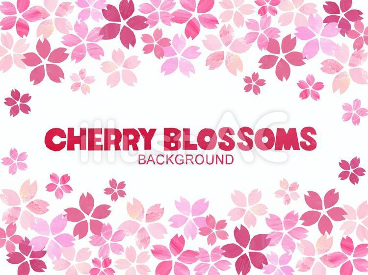 桜の背景・フレーム 植物,花,桜のイラスト素材