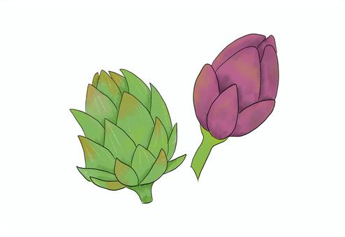 アーティチョーク アーティチョーク,水彩イラスト,野菜,食べ物,植物のイラスト素材