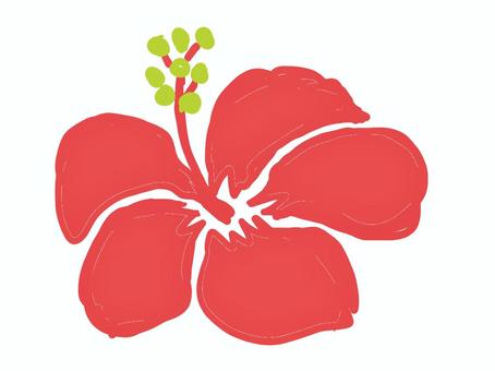 ハイビスカス ハイビスカス,花,ハワイ,赤い,きれい,ギャル,南国,沖縄,南のイラスト素材
