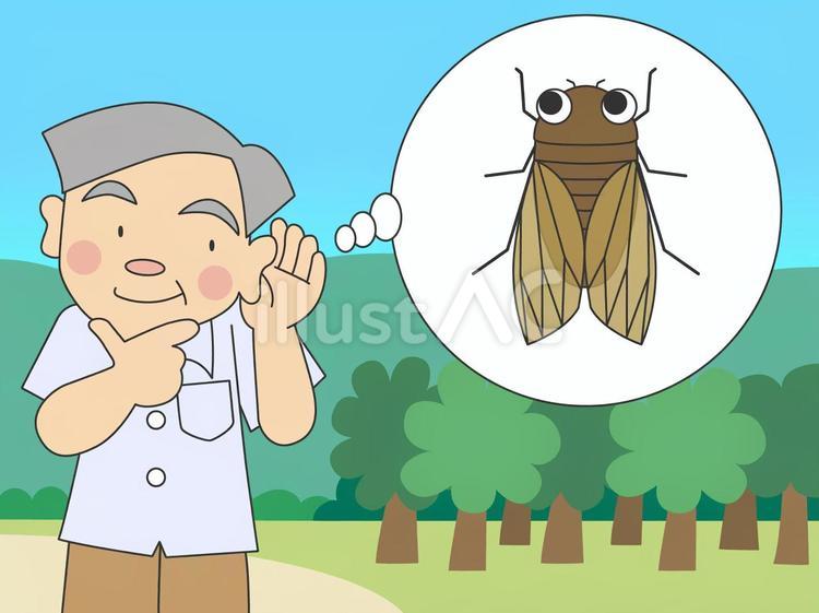 蝉の声が聞こえる男性 夏,シニア,セミのイラスト素材