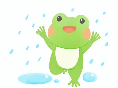 青蛙, JPG 和 PNG 青蛙, 青蛙, 活物, 雨季, JPG 和 PNG