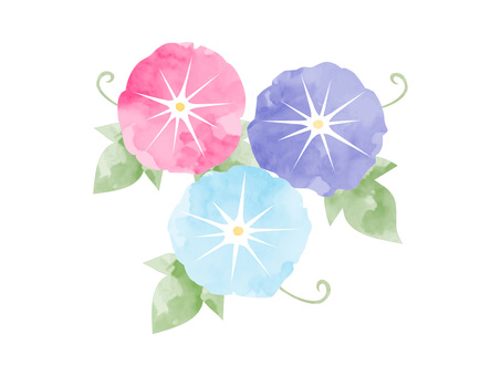 朝顔のイラスト（水彩風） 朝顔,水彩風,アサガオ,明るい,紫みの,赤,青紫色,澄んだ,緑みの,青のイラスト素材